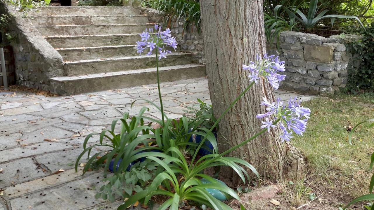 Deliziosa Casetta Con Dehor E Giardino Immersa Nel Verde Ligure Imperia Exterior photo